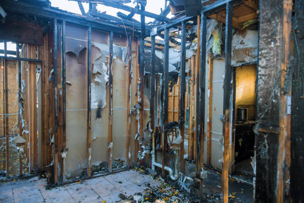 Professional Fire Damage Repair technician working in Farm Loop, AK